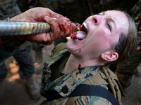 Soldado bebendo sangue de cobra