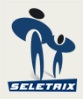 www.seletrix.com.br, Seletrix Concursos Públicos