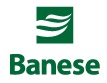 www.banesecard.com.br, Site Banese Card